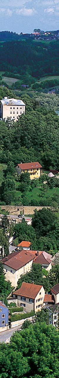 Scenic Riverside Town with Rolling Hills