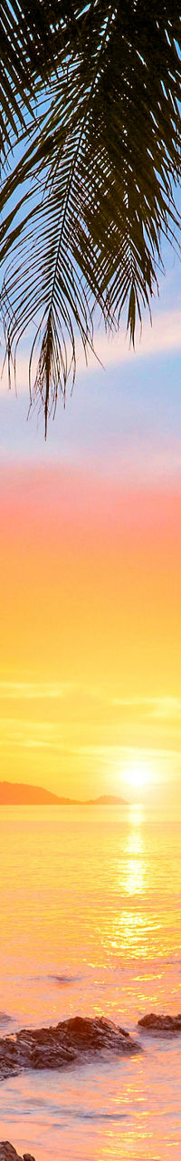 Tropical beach sunset with palm trees