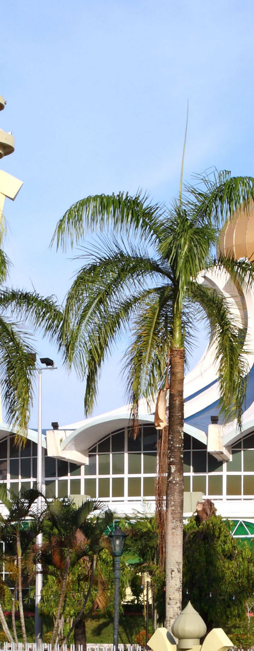 Golden-domed mosque with palm trees