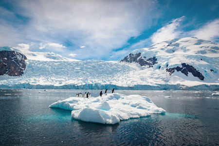 Penguins on iceberg in icy Antarctic waters