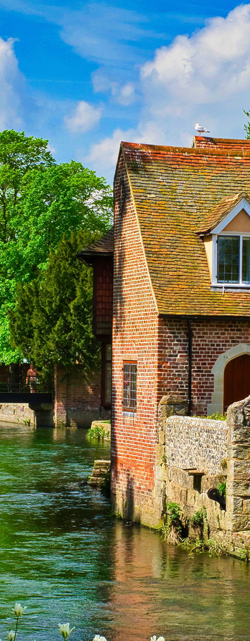Scenic riverside cottage with boat ride