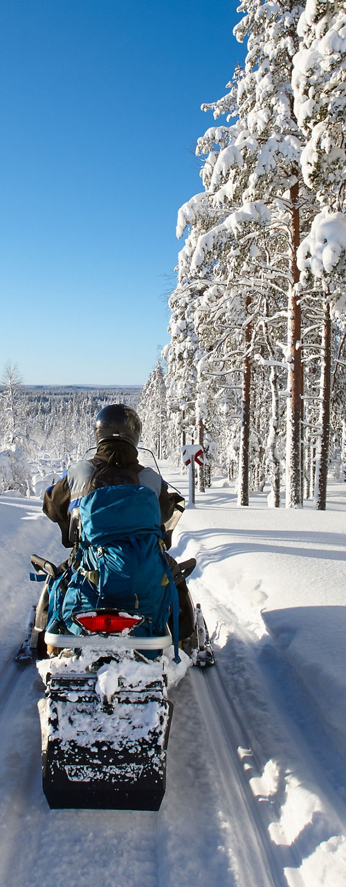 Snowmobile ride through snowy forest landscape