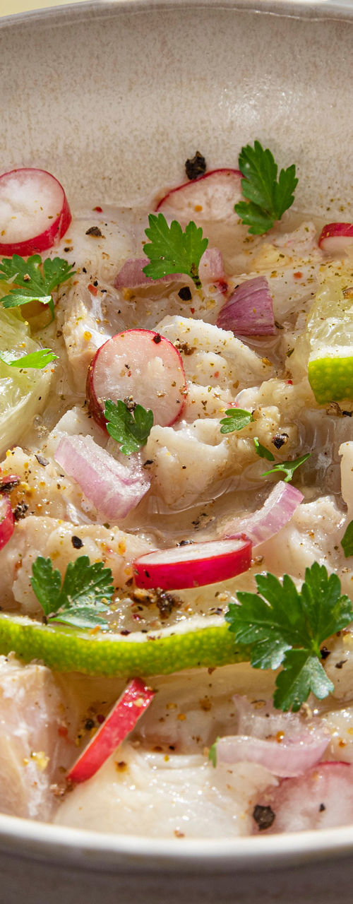 Fresh Ceviche with Lime and Radishes