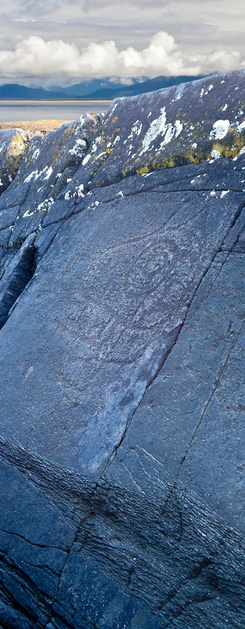 Ancient rock carvings by coastal landscape