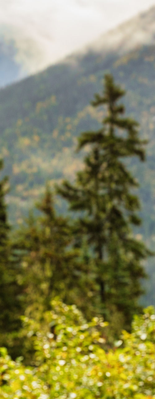 Woman photographing scenic mountain landscape