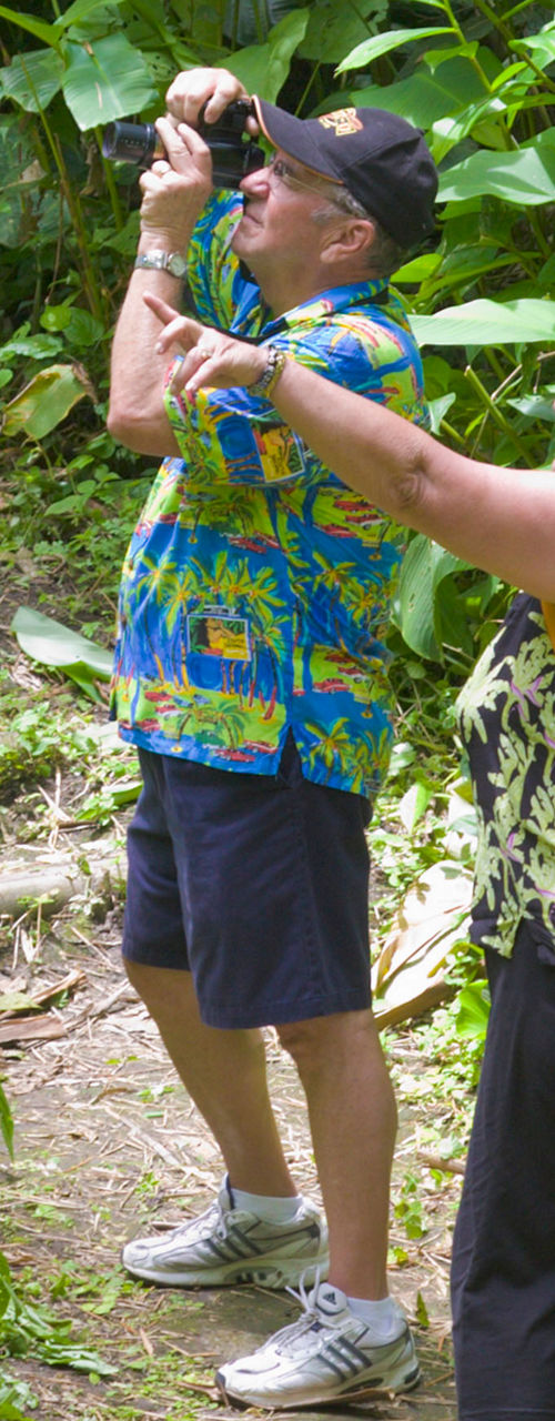 Tourists photographing lush tropical forest trail