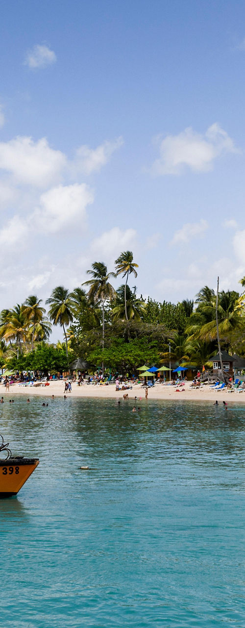 Tropical beach with boat and palm trees