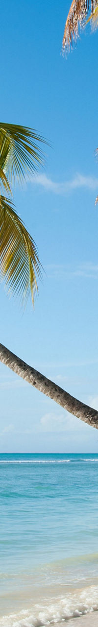 Tropical beach with palm trees and clear water