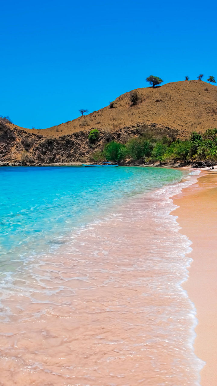 Pink Beach Snorkeling
