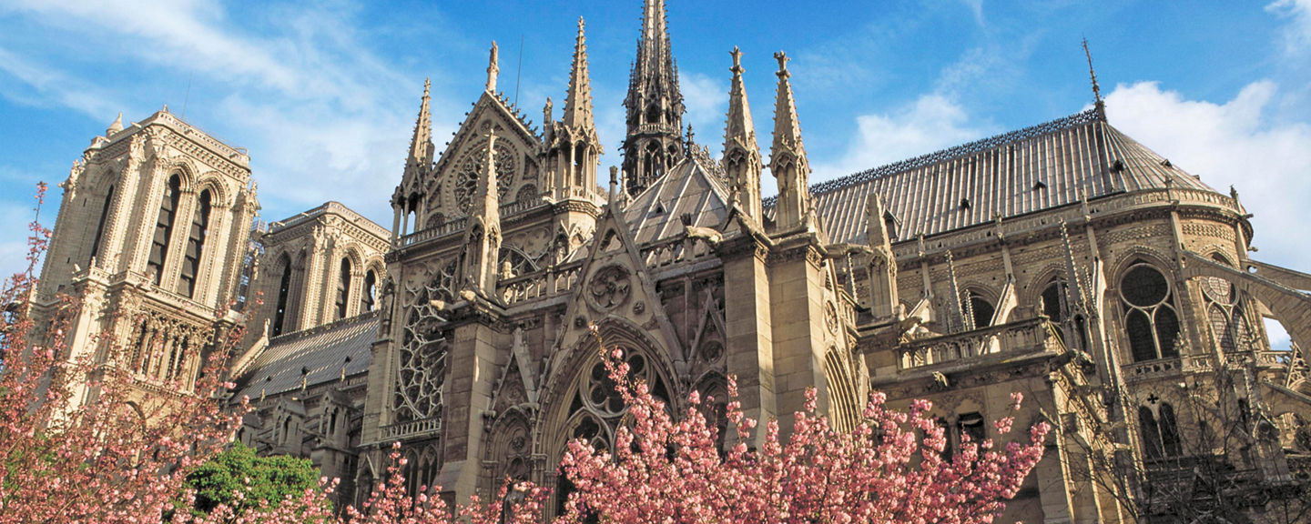 Gothic cathedral behind blooming cherry trees