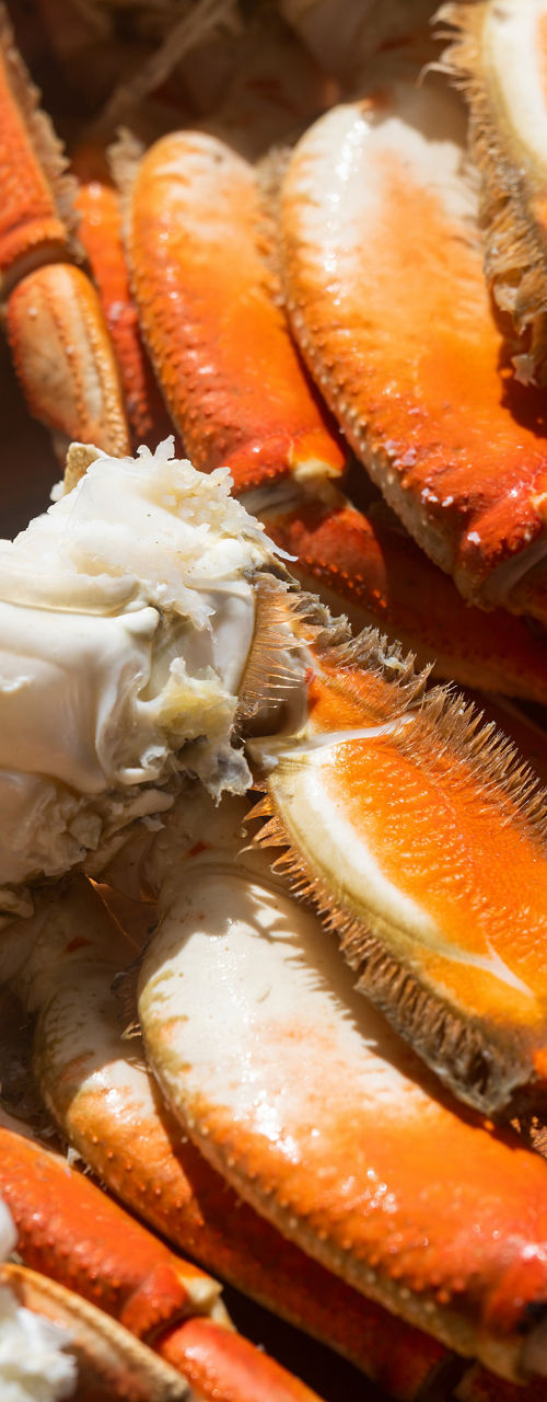 Steamed Crab Legs with Melted Butter Dip