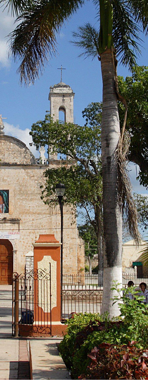 Historic stone church with palm trees in plaza