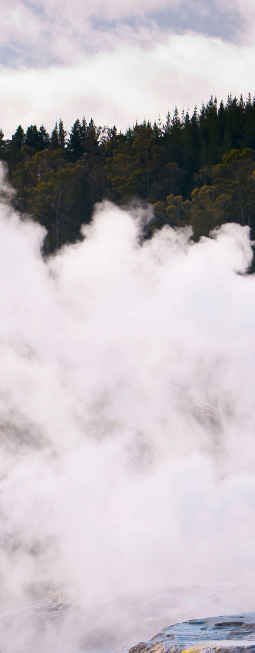 Steaming geothermal landscape with lush greenery
