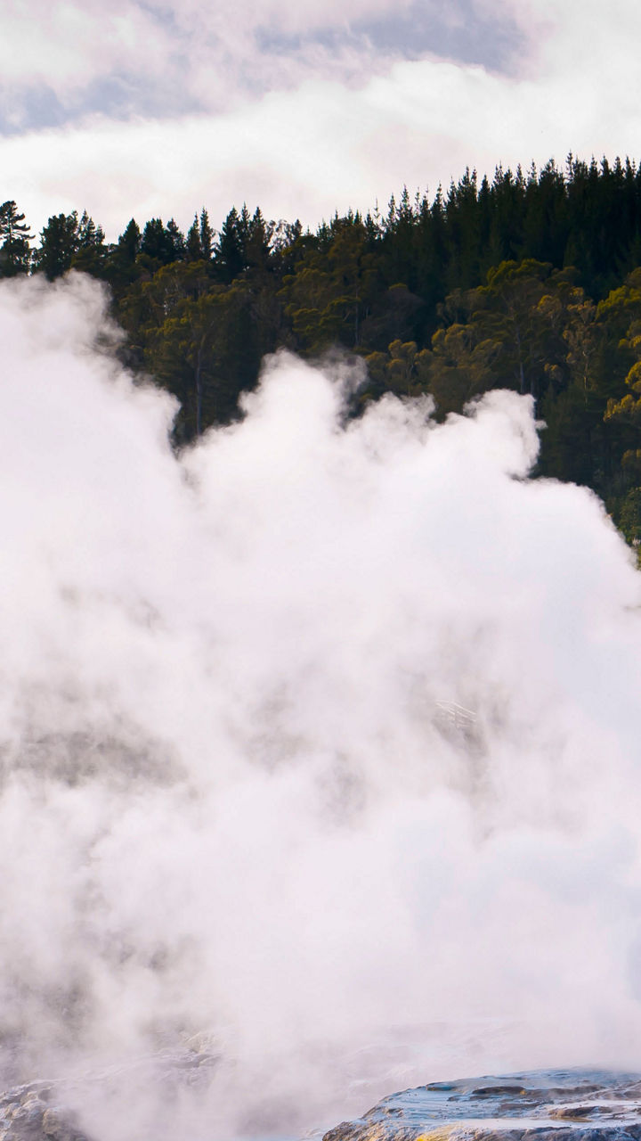 Steaming geothermal landscape with lush greenery