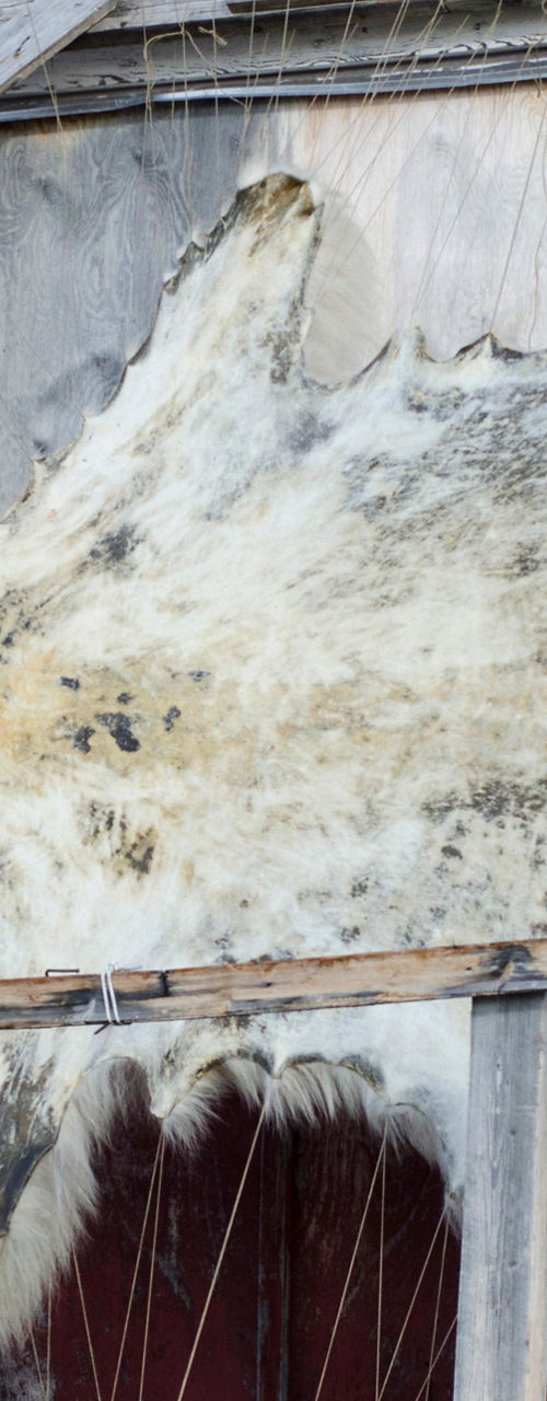 Animal hide stretched on wooden frame