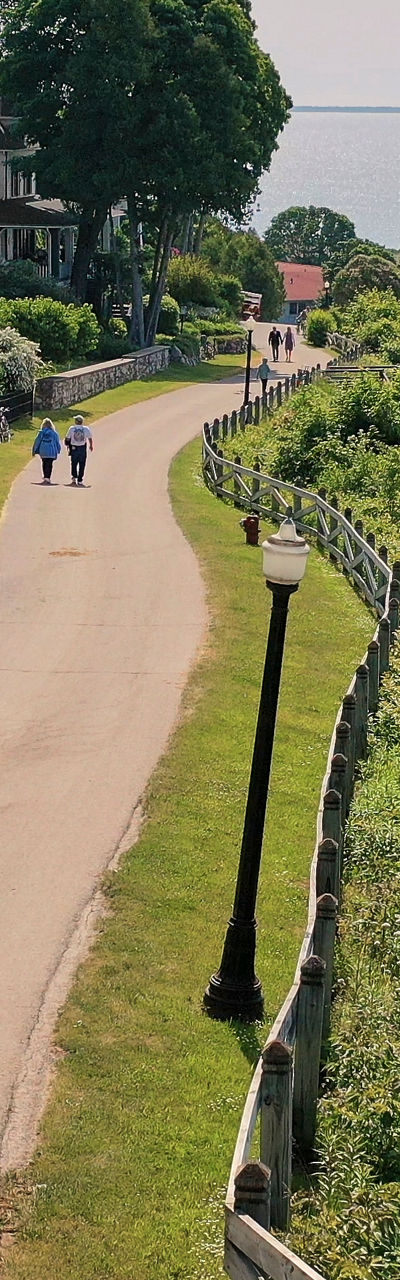 Scenic coastal path with cruise ship view