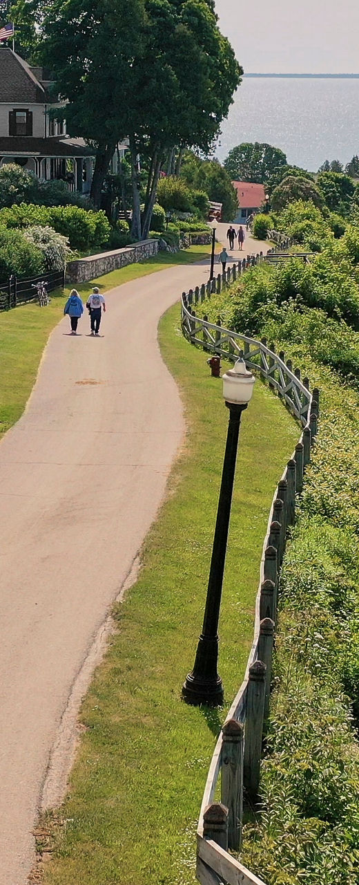 Scenic coastal path with cruise ship view