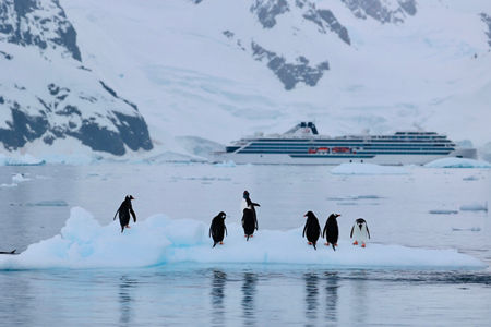 Penguins on Antarctic ice with cruise ship