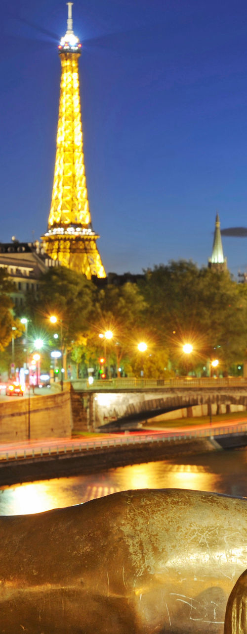 Eiffel Tower at Night from Bridge