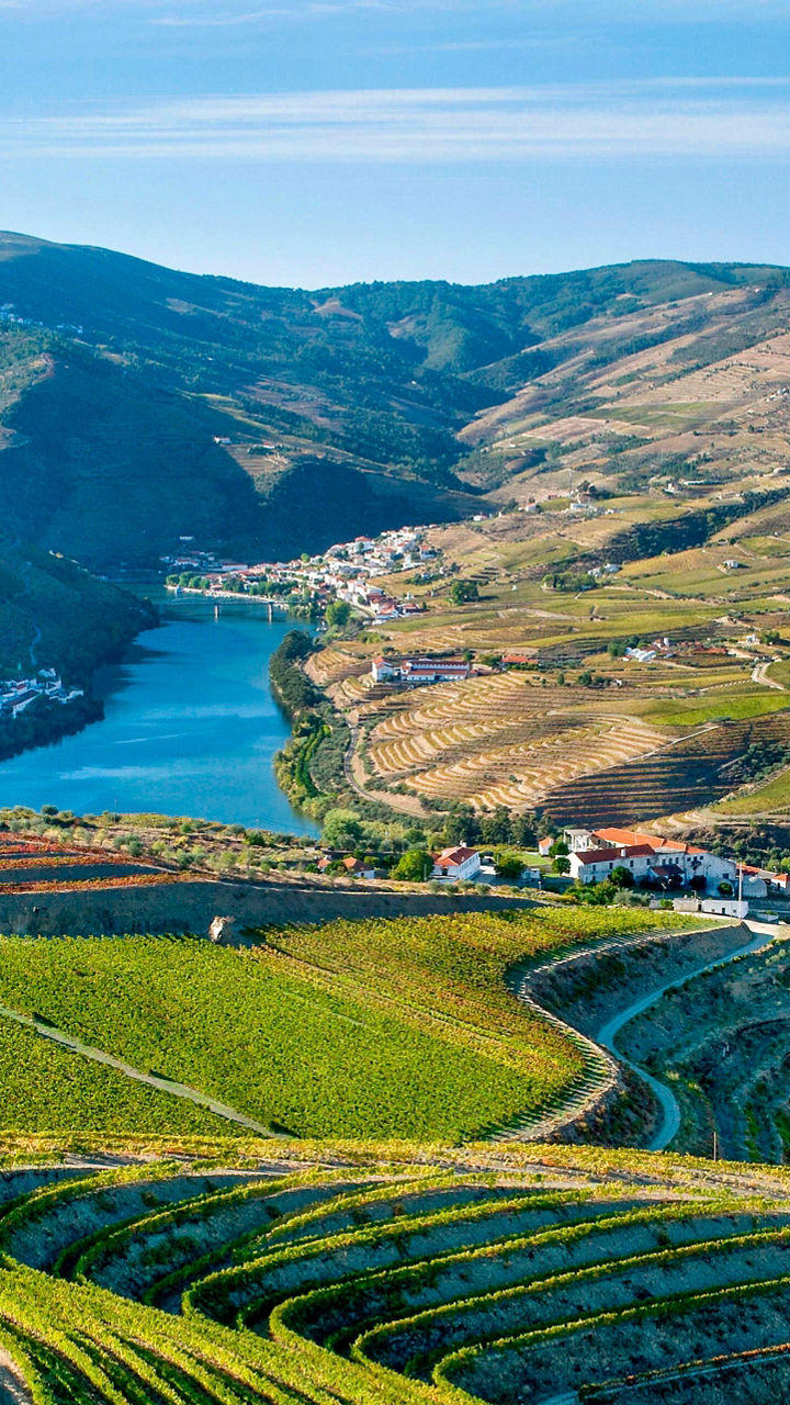 Scenic vineyard terraces overlooking a river valley
