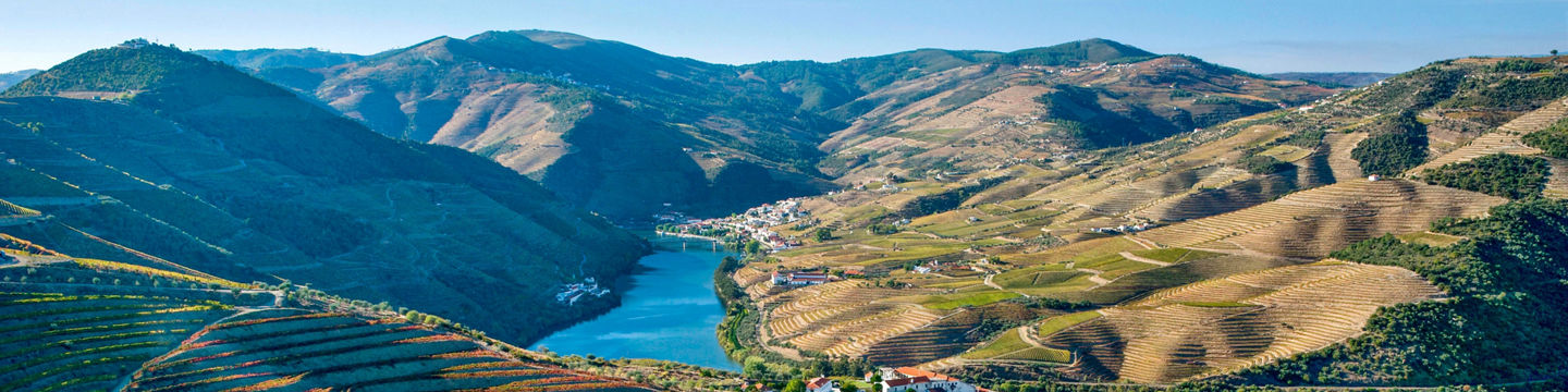 Scenic vineyard terraces overlooking a river valley