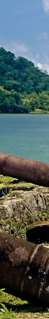 Historic cannons overlooking tropical bay