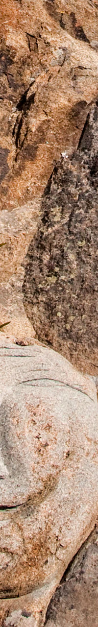 Carved stone faces on rocky cliff
