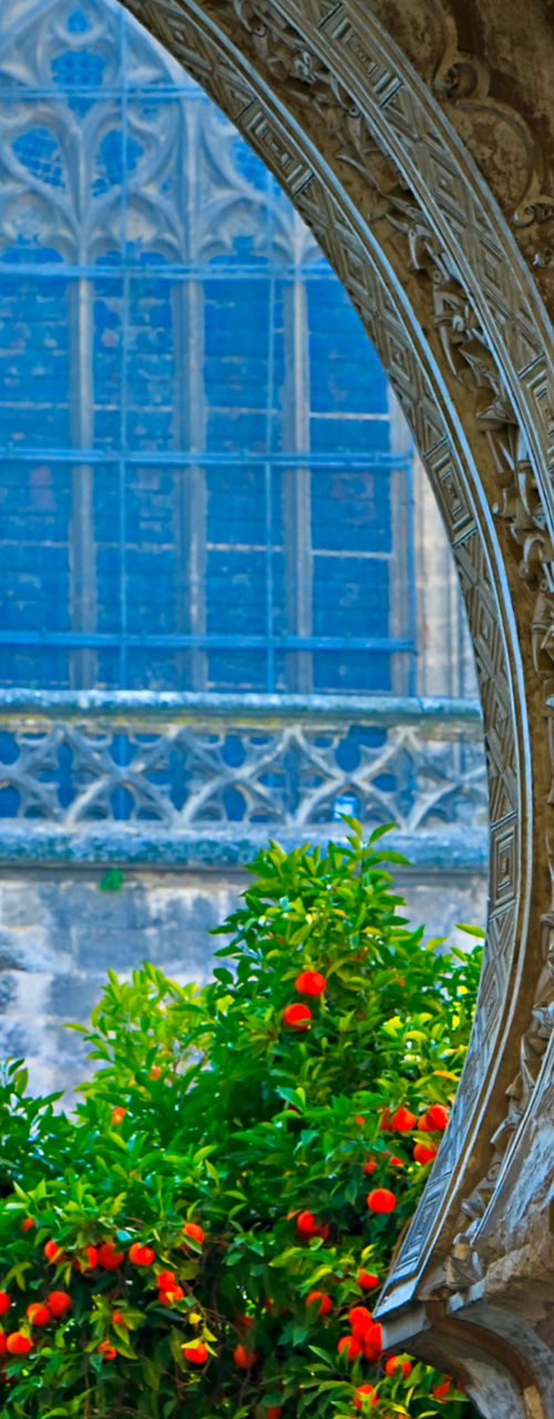 Historic archway with cathedral view