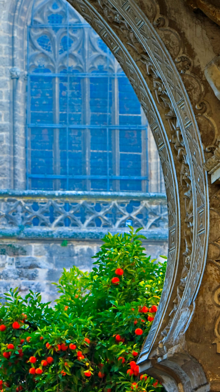 Seville On Your Own
