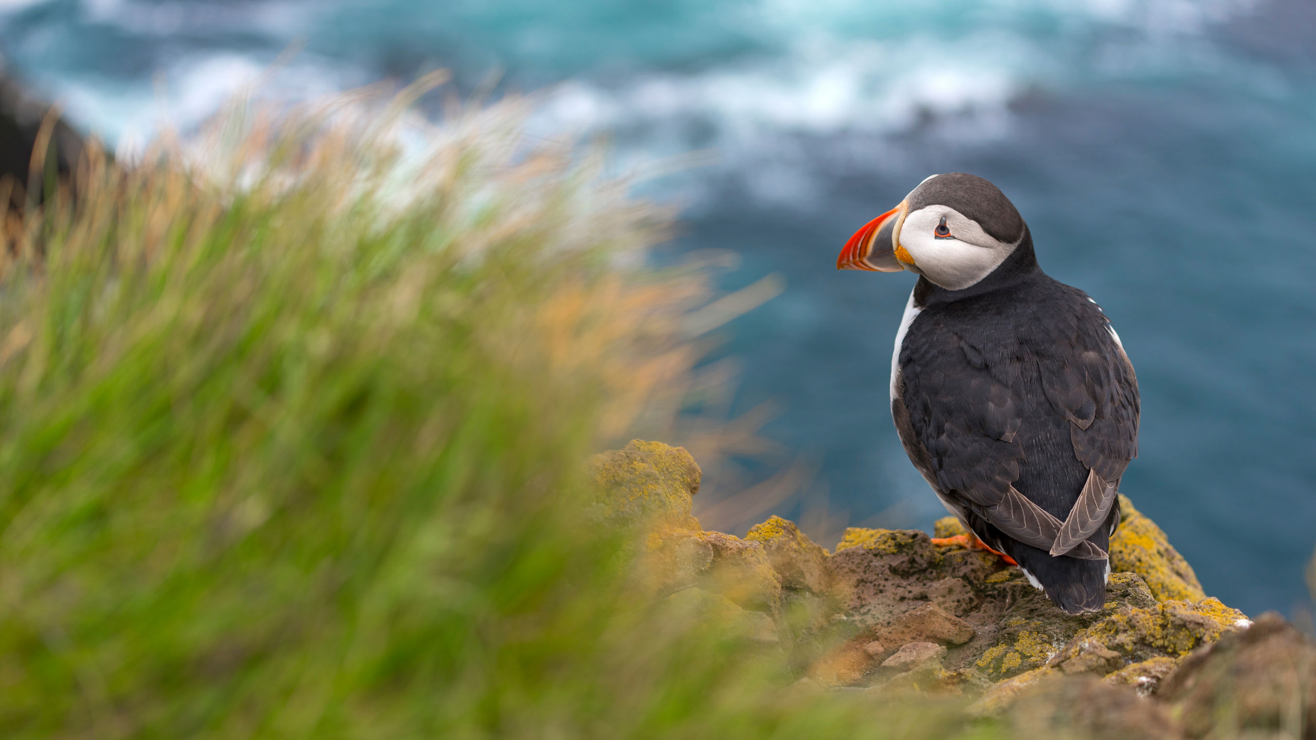 Iceland's Natural Beauty