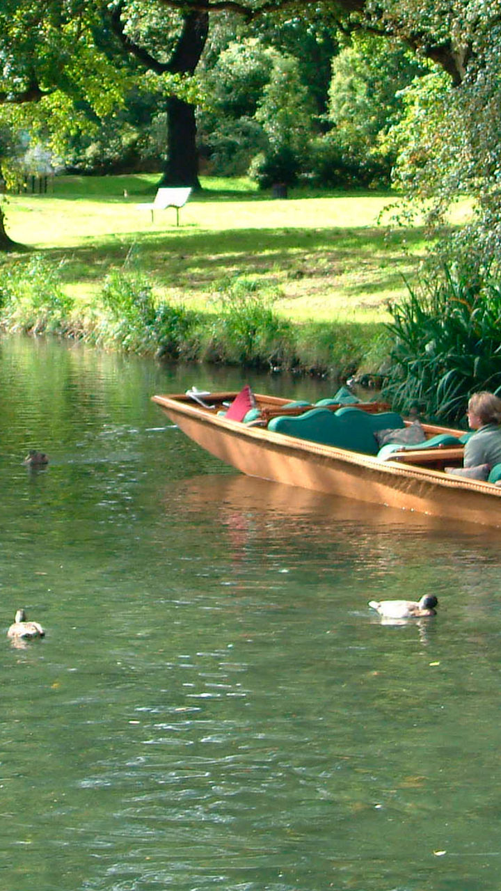 People punting along a tranquil river