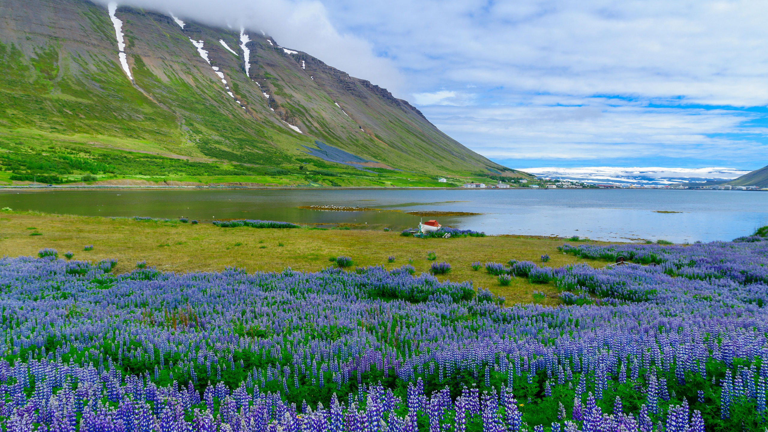 Iceland's Majestic Landscapes