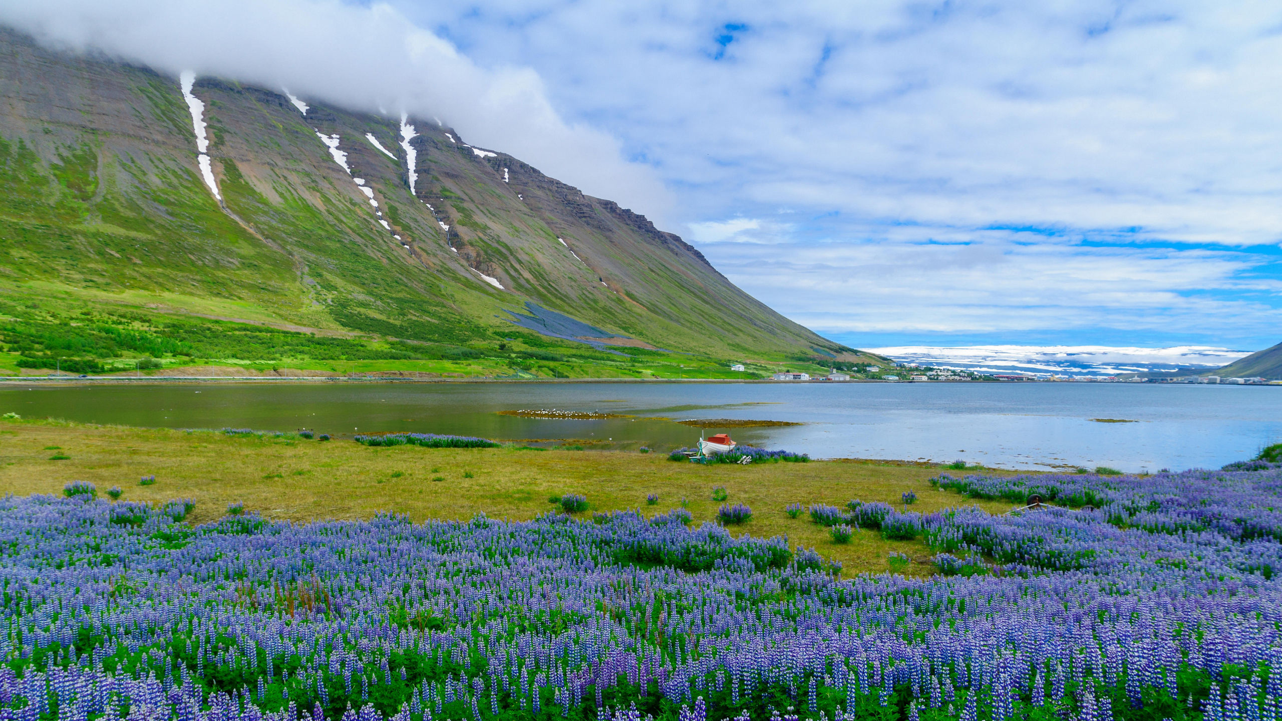 Iceland's Majestic Landscapes