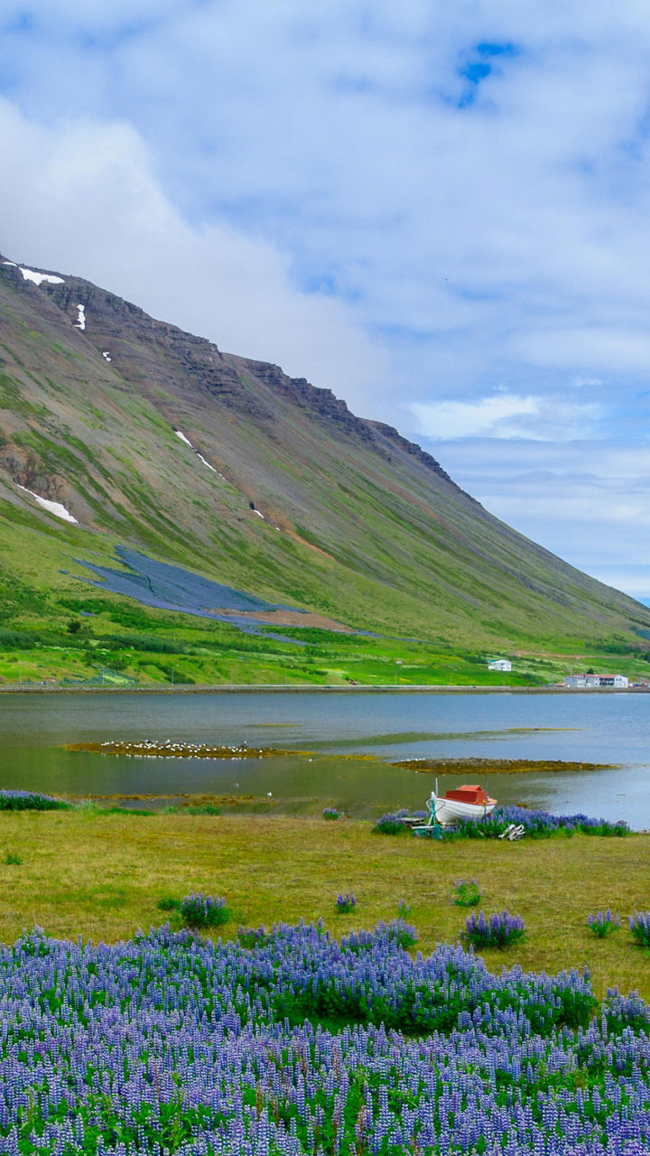 Scenic mountain lake with lupine flowers