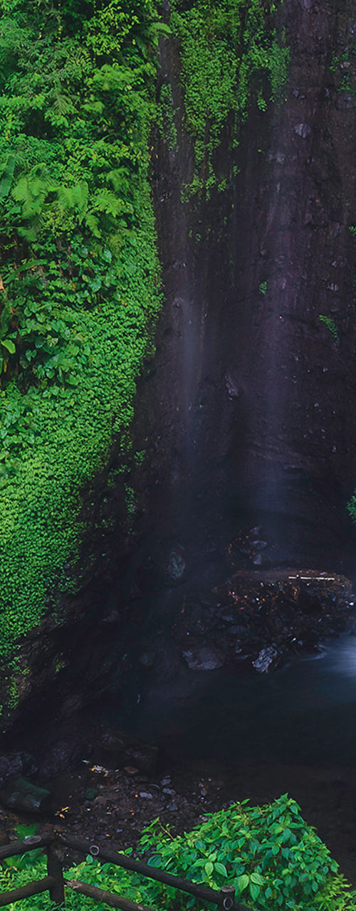 Scenic waterfall with lush greenery