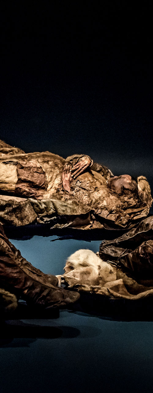 Mummified Remains Displayed in Dimly Lit Exhibit