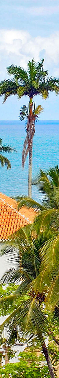 Colonial architecture with ocean and palm trees