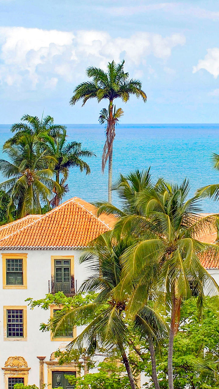 Colonial architecture with ocean and palm trees