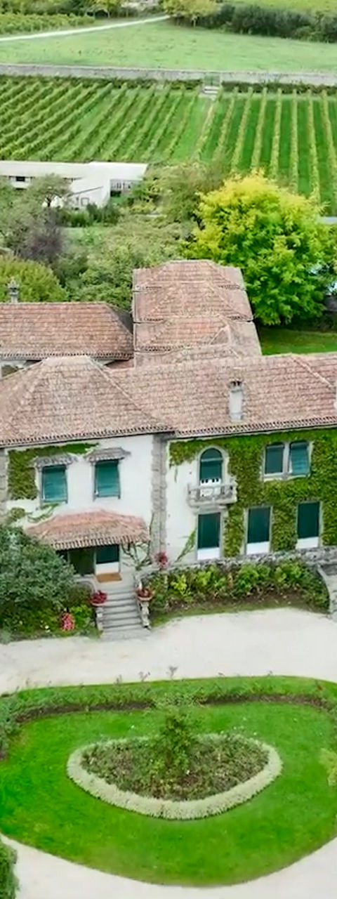 Aerial view of country estate surrounded by vineyards