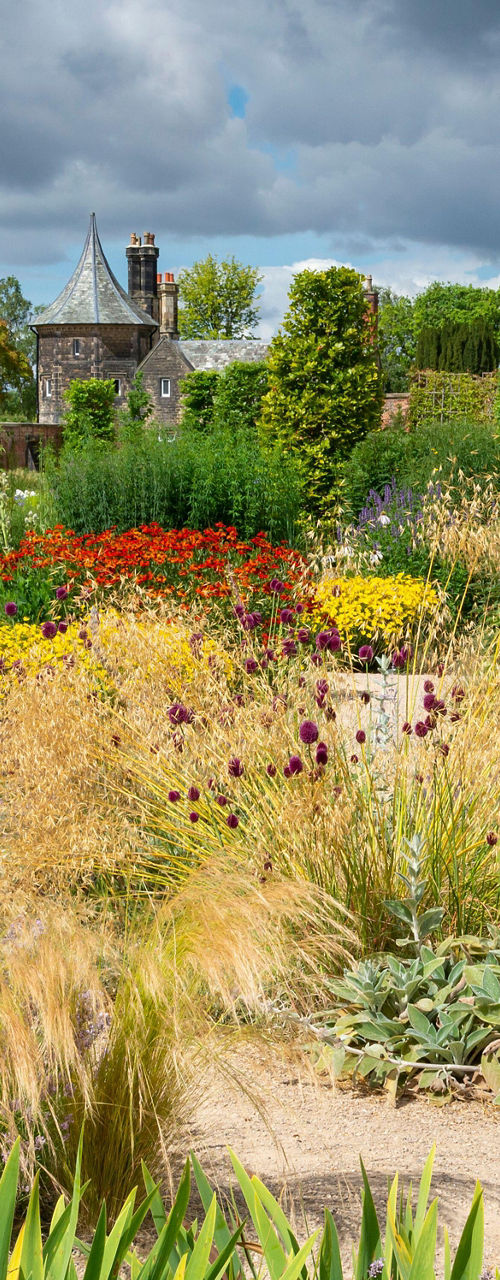 Lush garden with vibrant flowers and cloudy sky