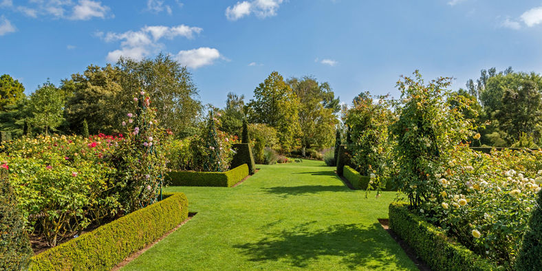 Lush garden with hedges and flowers
