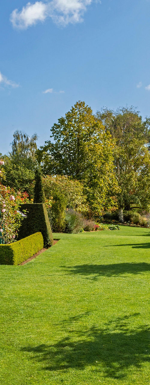 Lush garden with hedges and flowers
