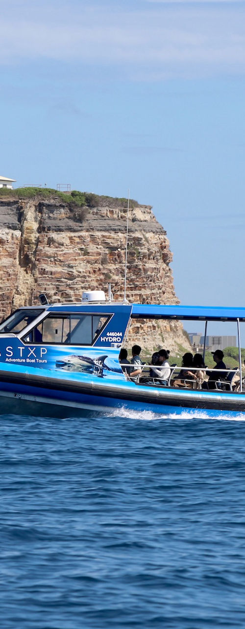 Tour boat speeding past coastal cliff lighthouse