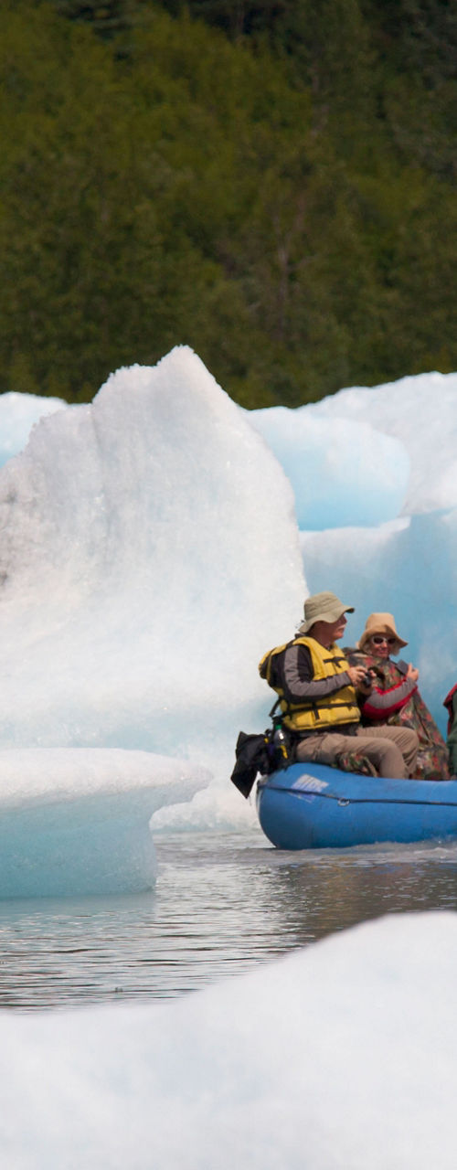 Group rafting near icebergs in cold waters