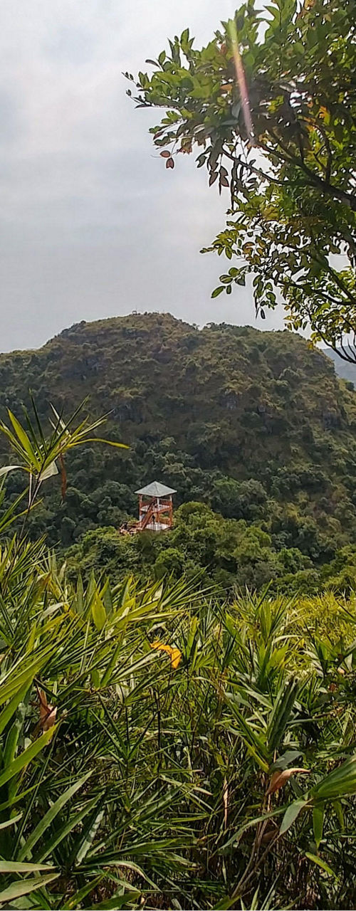 Scenic mountain view with lush greenery