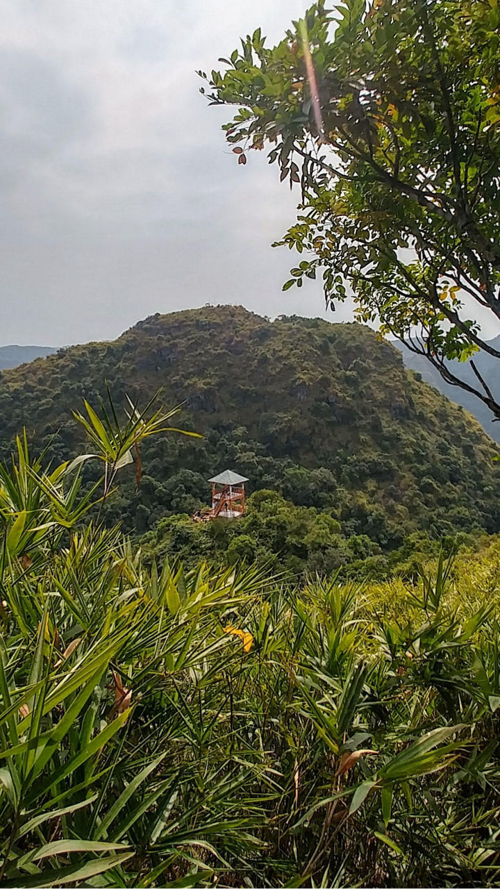 A Trek Through Cát Bà National Park