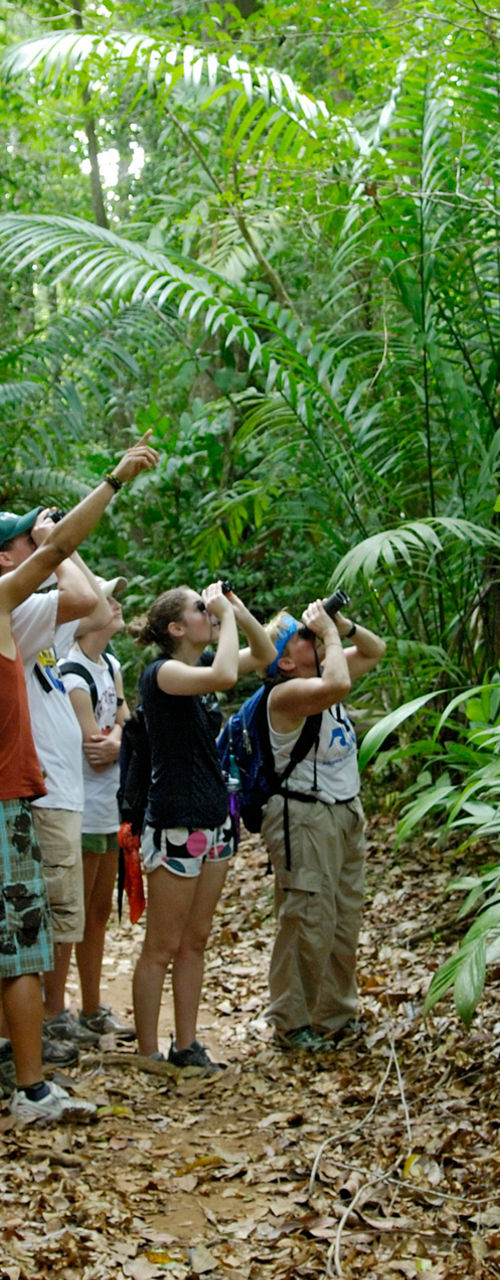 Group exploring lush tropical rainforest trail