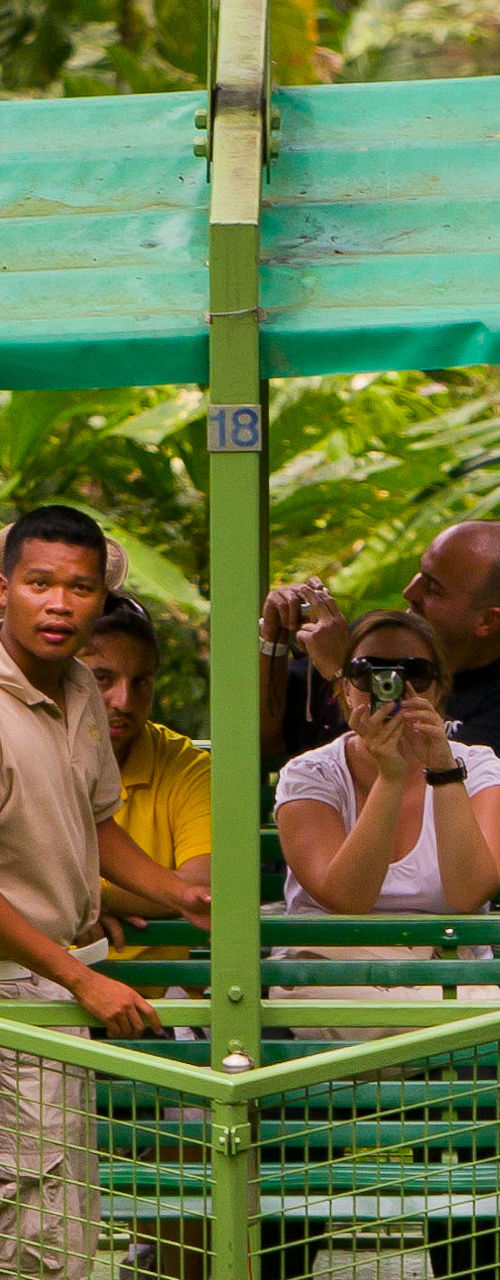 Rainforest canopy ride with group of people