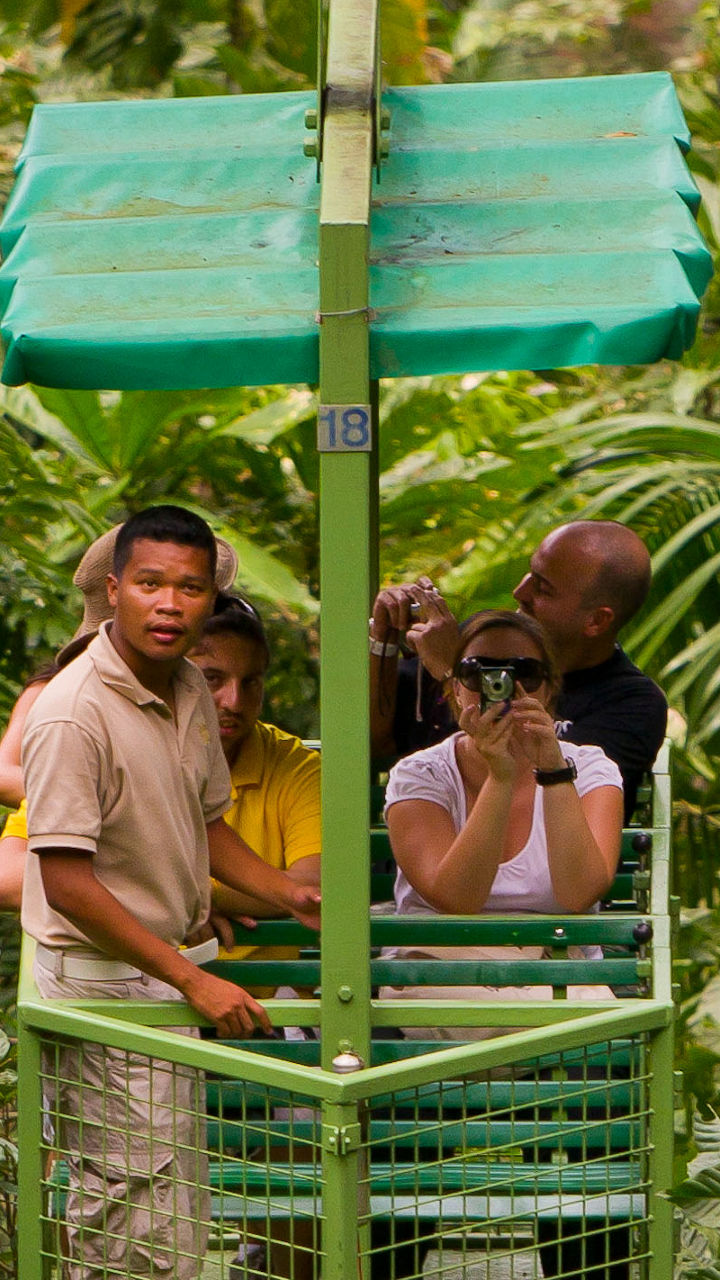 Rainforest & Aerial Tram