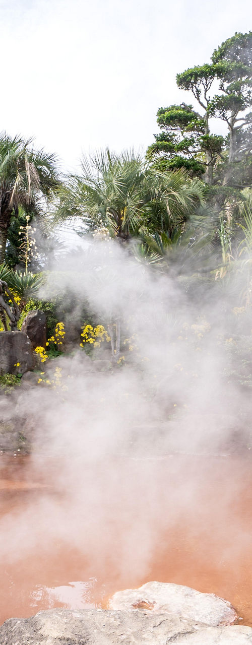Steaming hot spring in lush garden setting